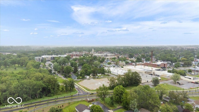 450 Historic Pleasant St, Noblesville, IN 46060 - view of property location