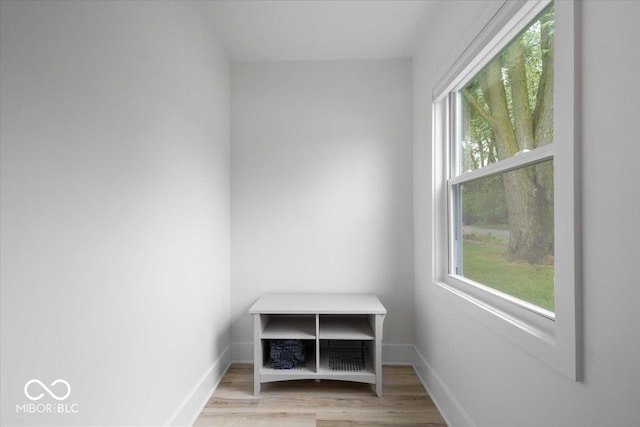 450 Historic Pleasant St, Noblesville, IN 46060 - mudroom with healthy amount of natural light, light wood finished floors, and baseboards