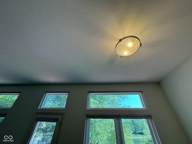 7970 Cobblesprings Dr, Avon, IN 46123 - detailed view of a textured ceiling