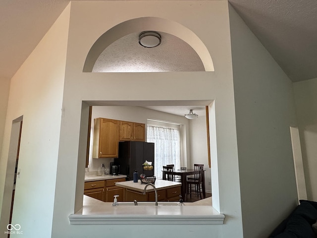 7970 Cobblesprings Dr, Avon, IN 46123 - kitchen featuring vaulted ceiling, freestanding refrigerator, light countertops, a textured ceiling, and a sink