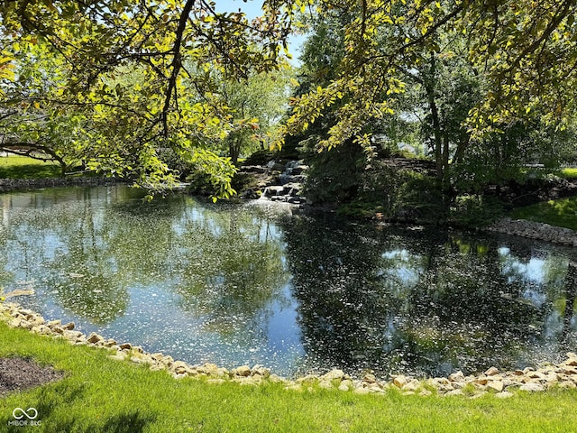 7970 Cobblesprings Dr, Avon, IN 46123 - water view