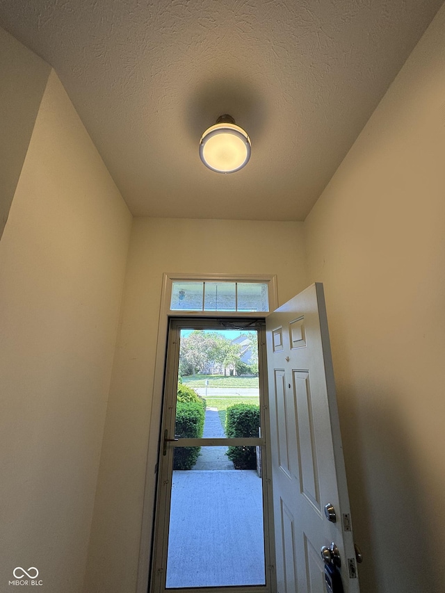 7970 Cobblesprings Dr, Avon, IN 46123 - entryway featuring a textured ceiling