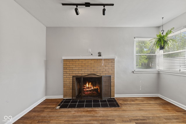 detailed view of wood finished floors, a fireplace, track lighting, and baseboards