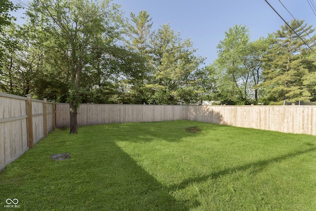 4967 Diana Dr, Indianapolis, IN 46203 - view of yard