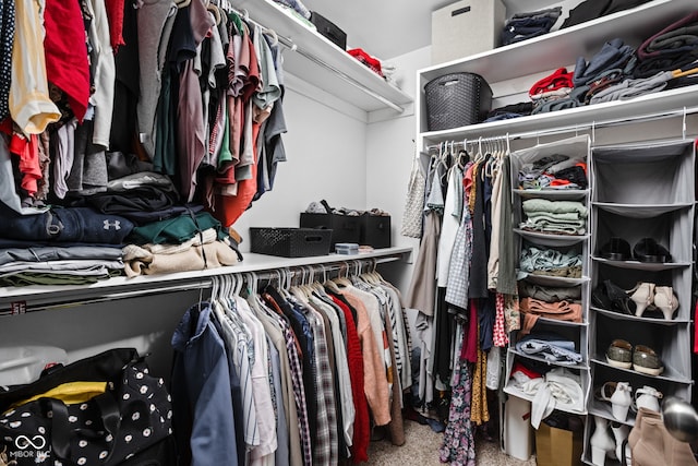 609 E 39th St, Indianapolis, IN 46205 - spacious closet featuring carpet flooring