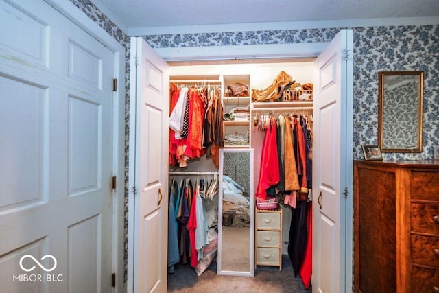 17310 N Willman Rd, Eaton, IN 47338 - view of closet