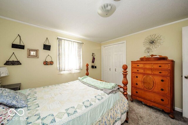 17310 N Willman Rd, Eaton, IN 47338 - carpeted bedroom featuring crown molding, a closet, and baseboards
