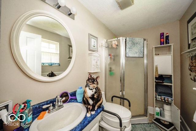 17310 N Willman Rd, Eaton, IN 47338 - bathroom with toilet, a stall shower, vanity, vaulted ceiling, and a textured ceiling