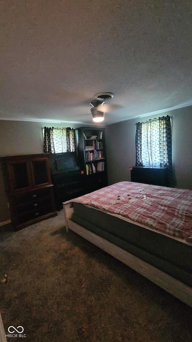 17310 N Willman Rd, Eaton, IN 47338 - bedroom featuring a textured ceiling, multiple windows, and a ceiling fan