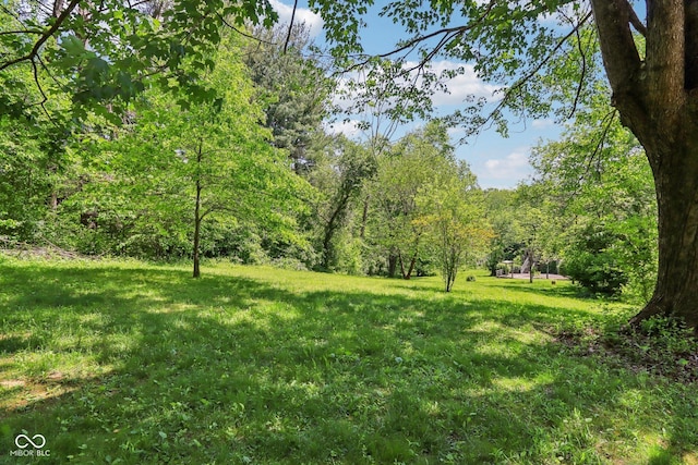 9240 E Woodview Dr, Bloomington, IN 47401 - view of grassy yard featuring a forest view