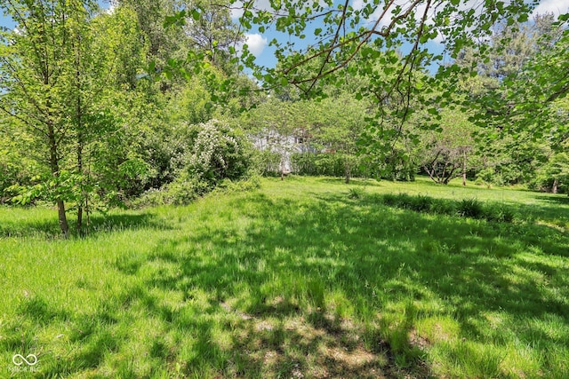 9240 E Woodview Dr, Bloomington, IN 47401 - view of yard