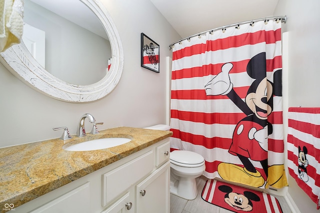 14135 Nicholas Dr, Carmel, IN 46074 - full bathroom featuring vanity, toilet, and a shower with curtain