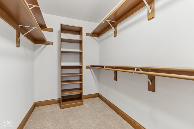 2825 S State Road 267, Plainfield, IN 46168 - spacious closet featuring carpet floors