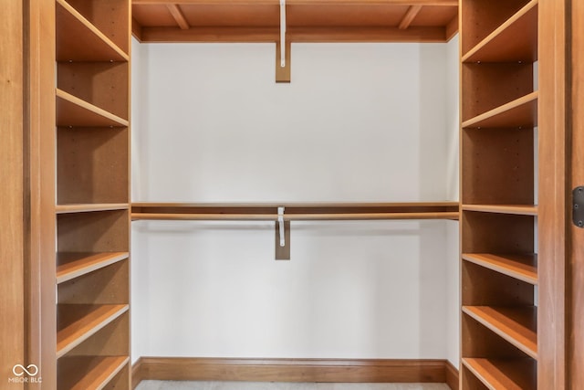 2825 S State Road 267, Plainfield, IN 46168 - view of spacious closet