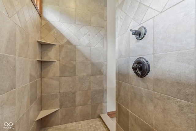 2825 S State Road 267, Plainfield, IN 46168 - bathroom featuring tiled shower