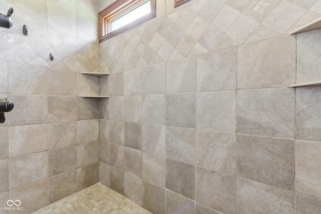2825 S State Road 267, Plainfield, IN 46168 - bathroom with tiled shower