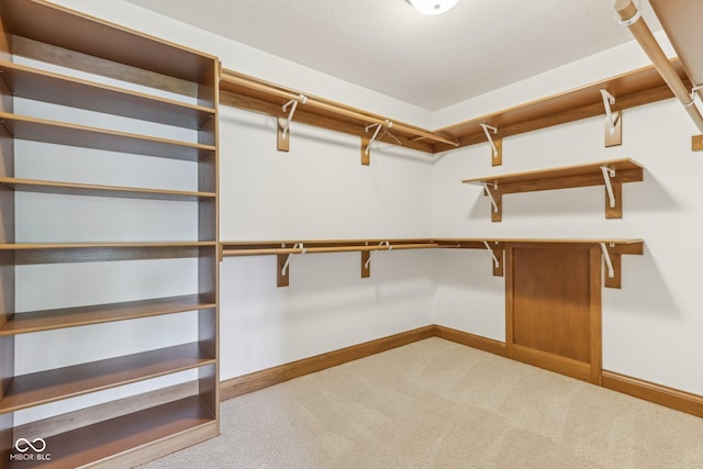 2825 S State Road 267, Plainfield, IN 46168 - spacious closet with carpet