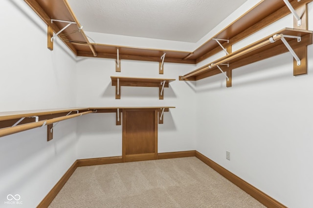 2825 S State Road 267, Plainfield, IN 46168 - spacious closet featuring carpet