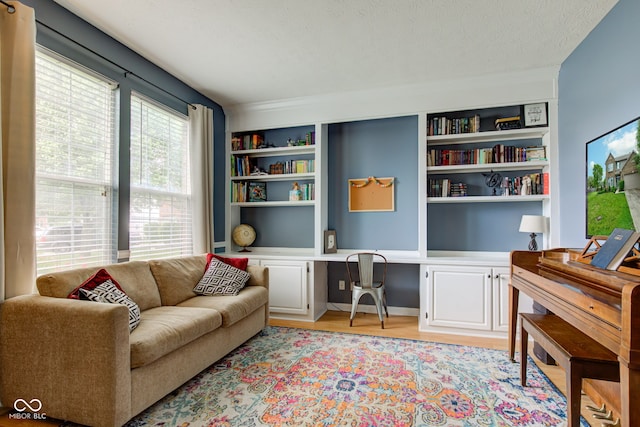 7452 Lace Bark Ct, Avon, IN 46123 - office area featuring light wood-style floors, built in shelves, and a textured ceiling