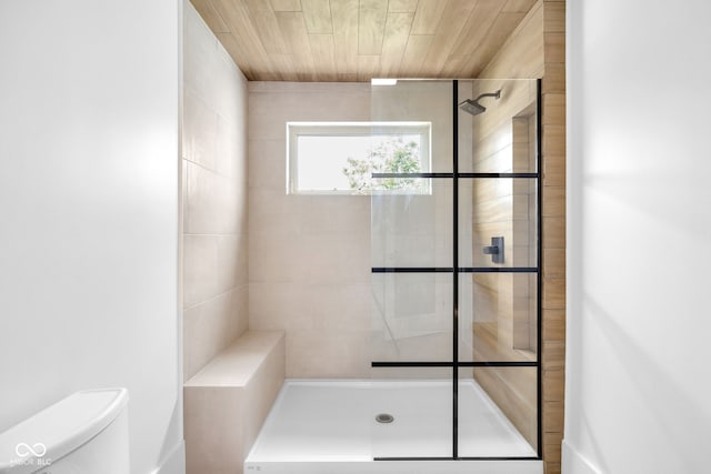 19 E Regent St, Indianapolis, IN 46225 - bathroom featuring toilet and a tile shower