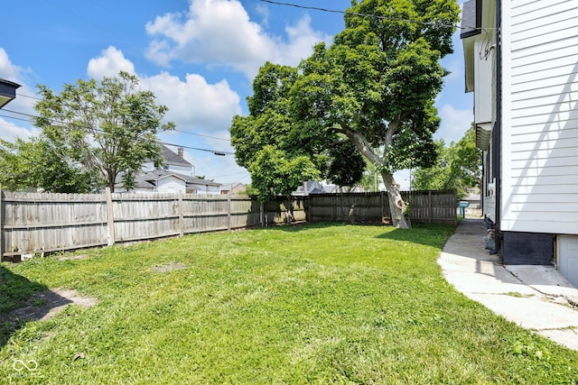 19 E Regent St, Indianapolis, IN 46225 - view of yard