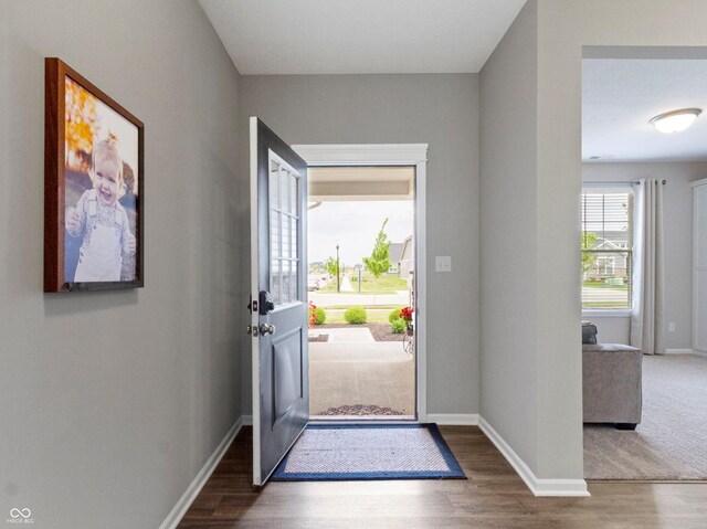 19657 Astoria Ave, Sheridan, IN 46069 - entryway featuring wood finished floors and baseboards