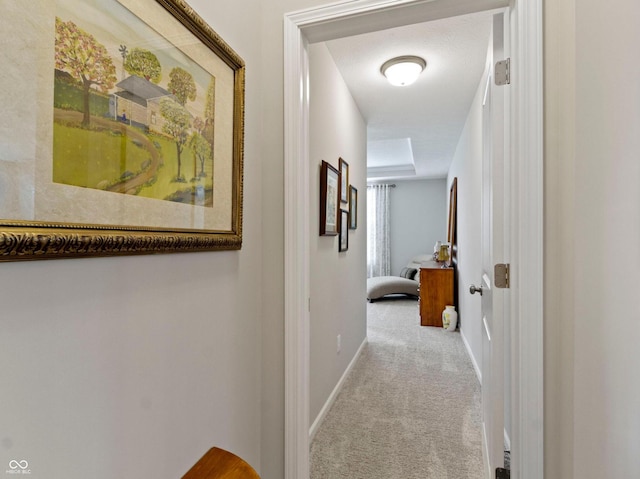 19657 Astoria Ave, Sheridan, IN 46069 - hall with carpet and baseboards