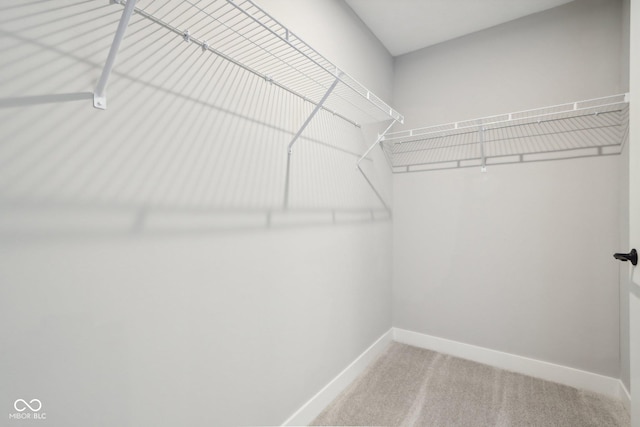 2693 Penn Ave, Plainfield, IN 46168 - spacious closet with carpet