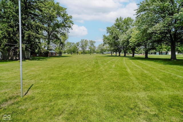 4232 Linden Ln, Anderson, IN 46011 - view of green lawn