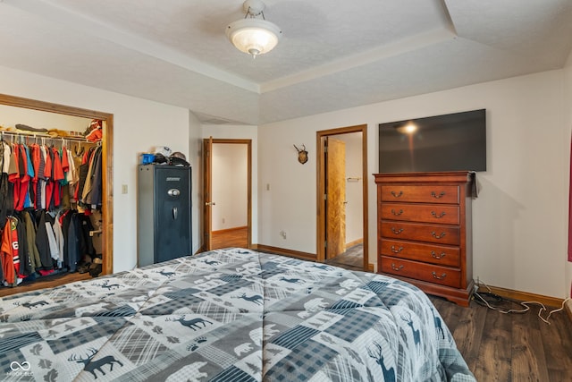 485 Mesa Dr, Russiaville, IN 46979 - bedroom with baseboards, wood finished floors, a closet, a spacious closet, and a tray ceiling