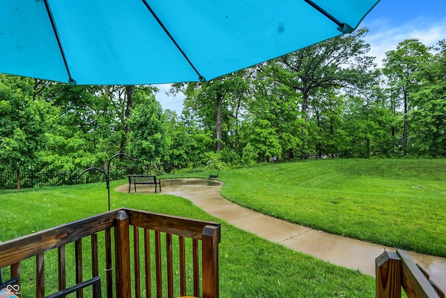 8266 Glacier Ridge Dr, Fishers, IN 46038 - view of yard
