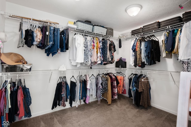 15580 Garrano Ln, Fishers, IN 46040 - spacious closet with carpet floors