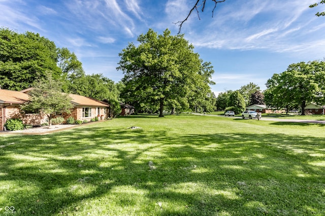 7110 N Layman Ave, Indianapolis, IN 46250 - view of grassy yard featuring view of wooded area