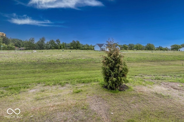 3866 Holly Brook Dr, Westfield, IN 46062 - photo 21