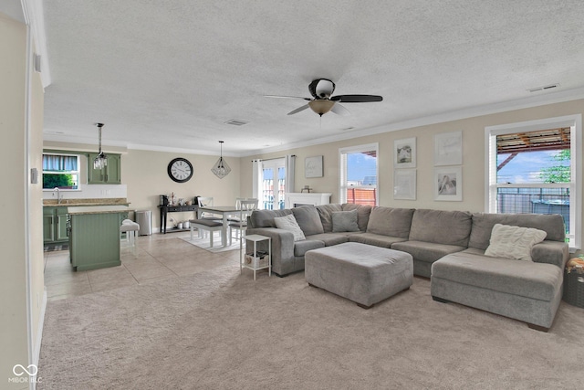 2829 Beachwalk Ln, Kokomo, IN 46902 - living area with crown molding, healthy amount of natural light, light carpet, ceiling fan, and a textured ceiling