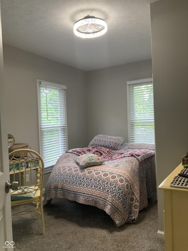 1114 N Olney St, Indianapolis, IN 46201 - view of carpeted bedroom