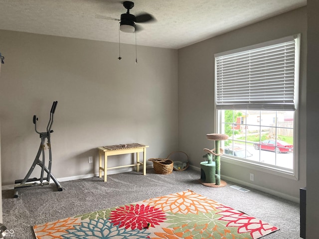 1114 N Olney St, Indianapolis, IN 46201 - recreation room featuring carpet, ceiling fan, baseboards, and a textured ceiling