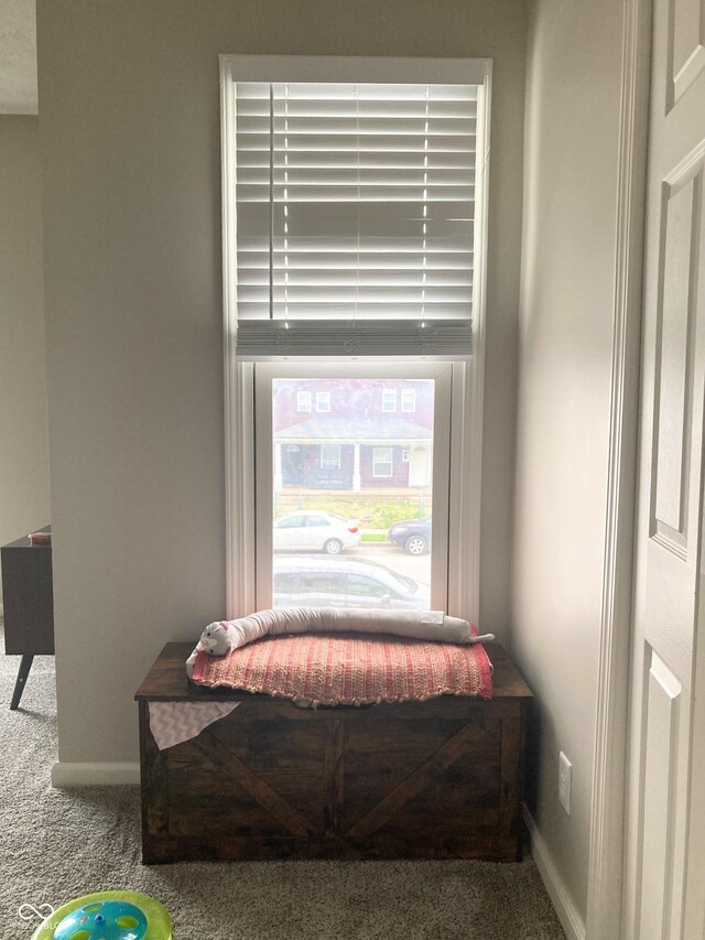 1114 N Olney St, Indianapolis, IN 46201 - detailed view of carpet flooring and baseboards