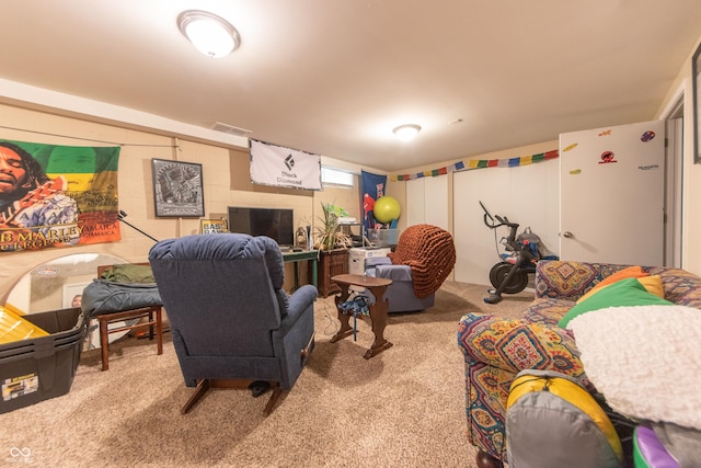 1913 Pennsylvania St, Columbus, IN 47201 - living area with carpet flooring