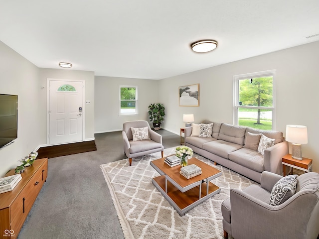2116 Orchid Bloom Dr, Indianapolis, IN 46231 - living area featuring carpet and baseboards