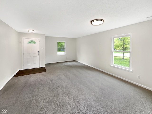 2116 Orchid Bloom Dr, Indianapolis, IN 46231 - entryway featuring dark carpet and baseboards