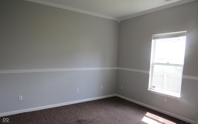 3908 Roundwood Dr, Indianapolis, IN 46235 - empty room with crown molding, dark colored carpet, and baseboards