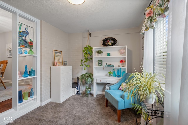 2021 Chestnut St, Columbus, IN 47201 - sitting room featuring a textured ceiling and carpet flooring