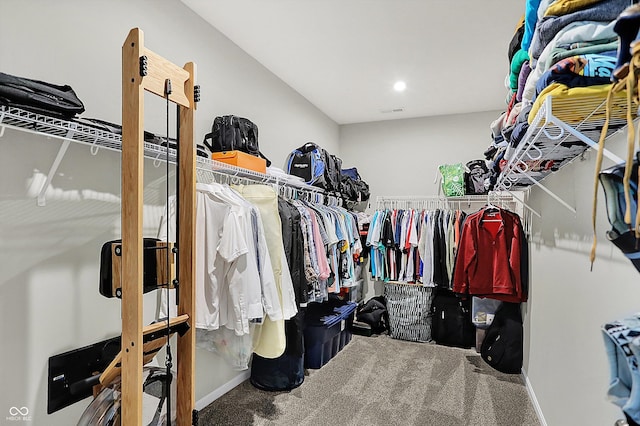 spacious closet featuring carpet floors
