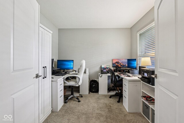 220 Sawdust Trl, Greenfield, IN 46140 - home office featuring light carpet
