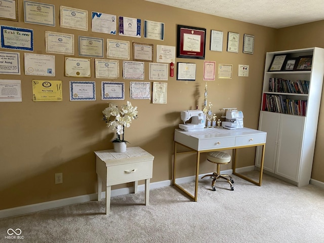 5241 Waterton Lakes Dr, Indianapolis, IN 46237 - office featuring carpet, baseboards, and a textured ceiling