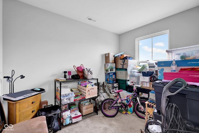 13887 N Hawkers Hill Dr, Camby, IN 46113 - view of storage