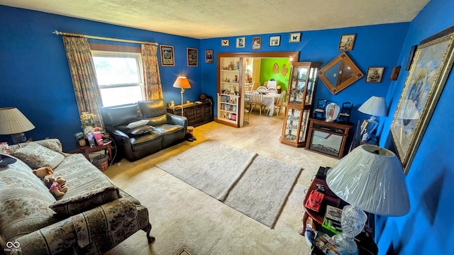 100 N 6th Ave, Beech Grove, IN 46107 - carpeted living room with a textured ceiling