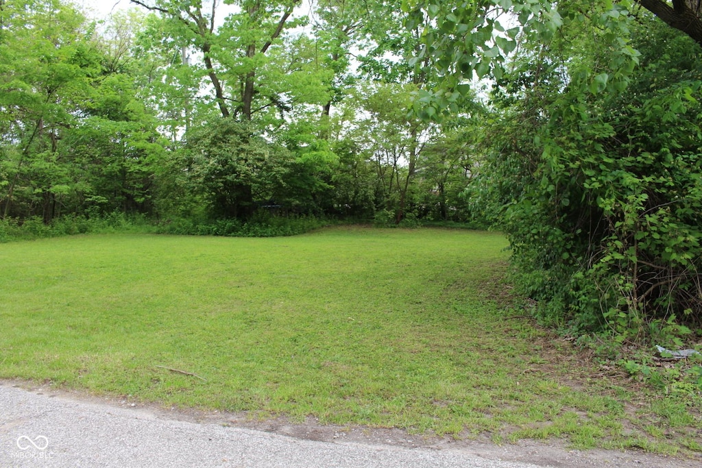 335 E Park St, Westfield, IN 46074 - photo 2