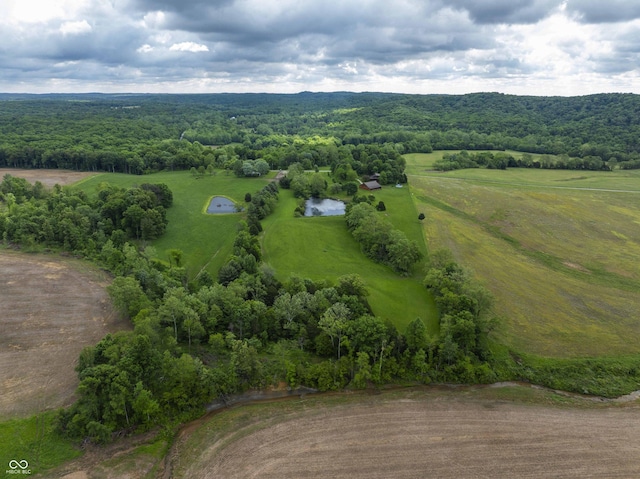 10484 N County Road 750 W, Freetown, IN 47235 - overview of rural landscape featuring a heavily wooded area
